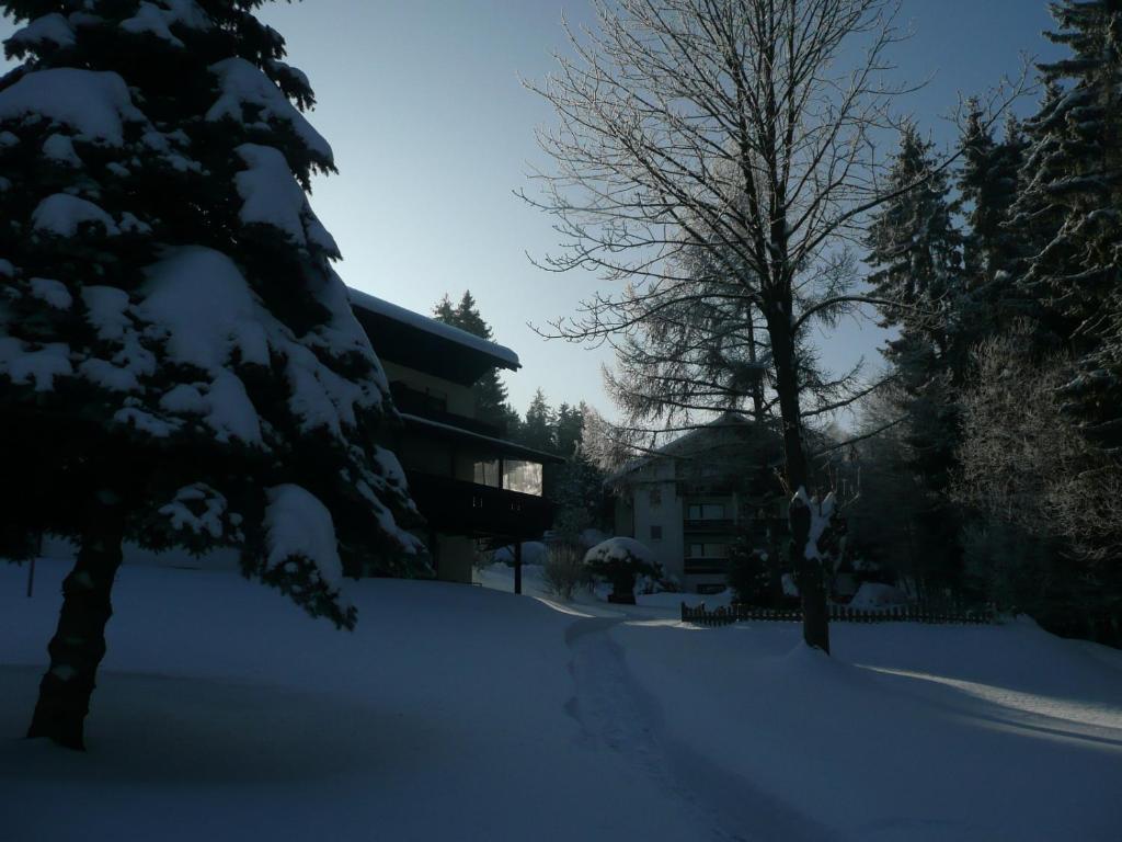 Landhaus Am Forst Bad Alexandersbad Exterior foto